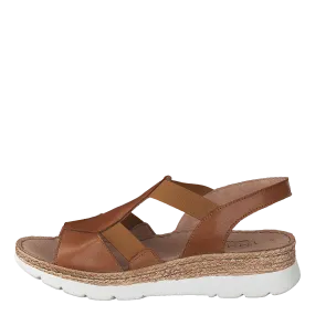 483-2786 Cognac